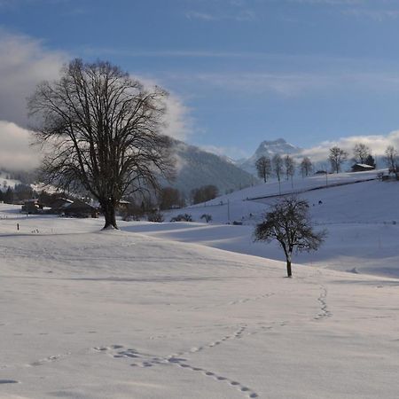 Ruhe Pur Lägenhet Aeschi Bei Spiez Exteriör bild