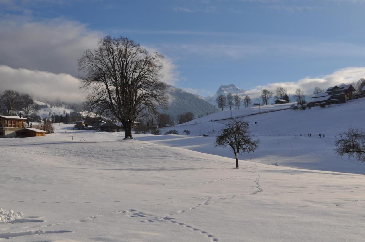 Ruhe Pur Lägenhet Aeschi Bei Spiez Exteriör bild